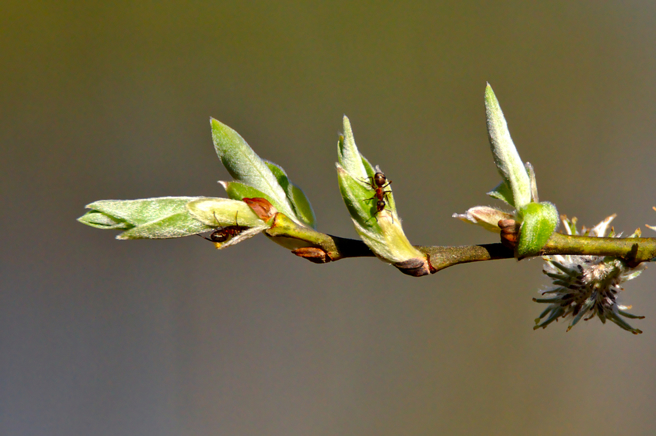命理師楊登嵙指出，如果運氣不佳犯小人，可趁驚蟄期間「打小人」的儀式化解。（示意圖：shutterstock／達志）
