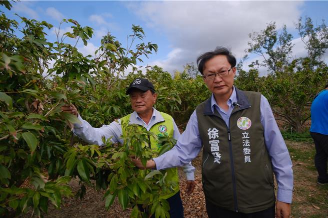 恆春玉荷包花不開，立委徐富癸(右)籲納天然災害現金救助範圍。(徐富癸提供)