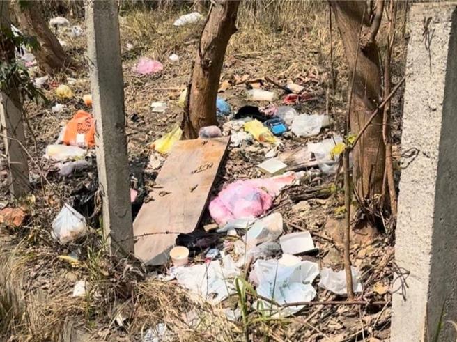 台中市大里區練武路1處偏僻路段長期被人亂丟垃圾，有如大型垃圾場，卻無監視器可追查，台中市議員江和樹4日要求環保局評估增設監視器追查到底；環保局表示，4日下午派員現勘，並於適當地點裝設監視設備。 (台中市議員江和樹提供／潘虹恩台中傳真)