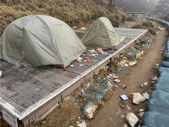 黄喉貂频繁现踪于嘉明湖山屋及营地，大肆翻找食物。（林克桦提供／萧嘉蕙台东传真）