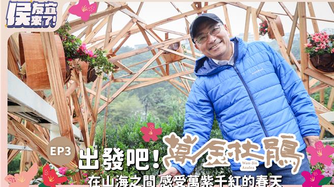 2024年3月4日新北市／新北市长侯友宜YouTube频道近日发布「万金杜鹃花艺PK赛特辑影音」，不到半天就突破上万观看次。（新北市新闻局提供／刘玮晴新北传真）