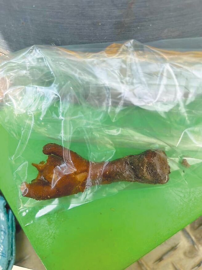 屏东县车城乡保力村一处洋葱田2日出现4只疑似遭毒死的流浪幼犬，周边还留有掺毒的鸡脚。（屏县府提供／谢佳潾屏东传真）