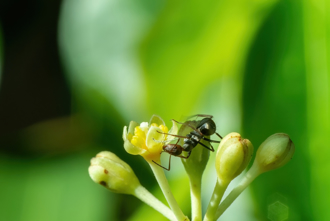 今驚蟄！5生肖「打小人」趨吉避凶 4件事必做