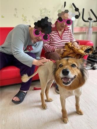 嘉荣医院院犬「小黄」陪伴 心康復者好疗癒