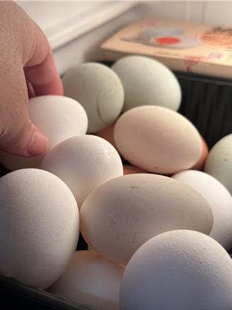 國內雞蛋過剩、刺激買氣 今起蛋價跌3元