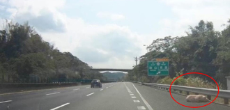 国3燕巢段惊现「猪尸」躺路肩 随车掉落幸未酿事故