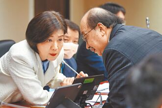 藍委爆邊境查驗人力 5年只增1人