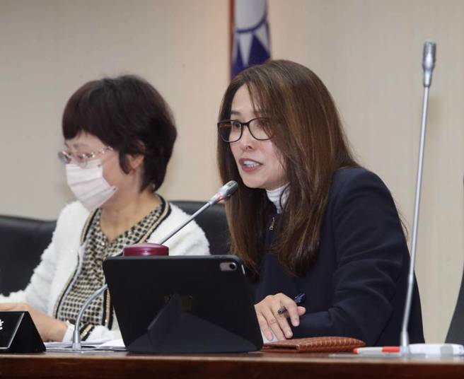 內政委員會召委、無黨籍立委高金素梅。（中時資料照，劉宗龍攝）