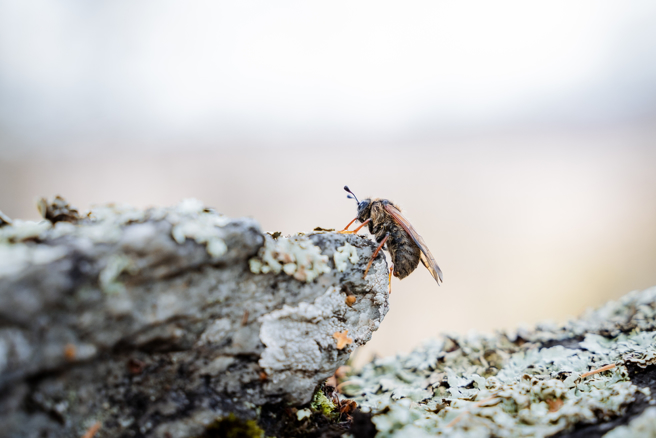 命理师指出，惊蛰期间6生肖运势强强滚，第1名属蛇的人将可名利双收。（示意图：shutterstock／达志）