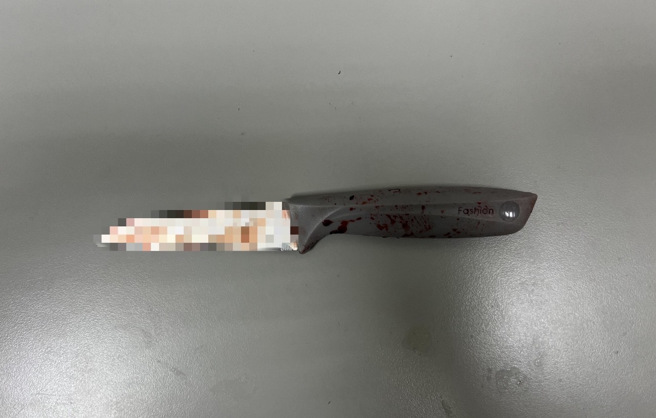 不爽女友人被欺负！新店男深夜「持刀闯民宅」，狂砍屋主夫妻。(叶庭欣/翻摄)