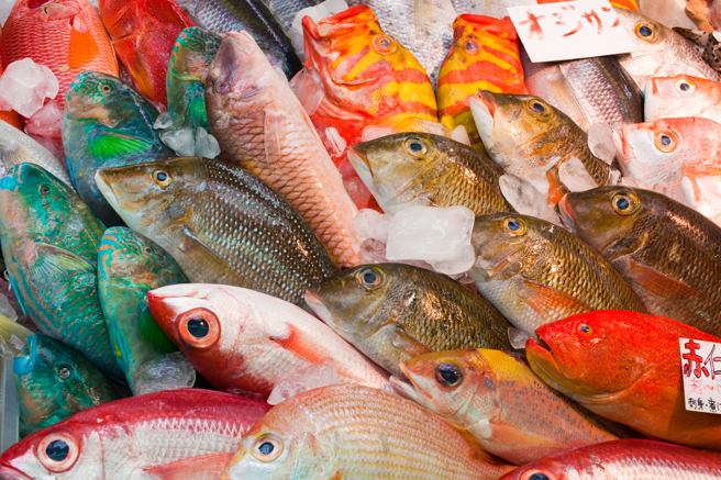 屬於優質蛋白的魚類，也有低脂、中脂與高脂肪的分別。（示意圖，Shutterstock／達志）