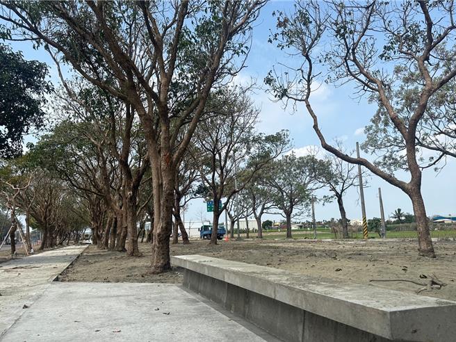 云林高铁站外的斗六联外道中央分隔岛岛造成1.5公里长之高铁绿园道。（云林县府交通工务局提供）