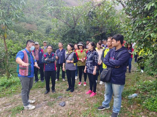 前往爱玉果园，由桃源区公所导览解说爱玉籽的生长过程及如何分辨果实公与母（图片来源：高雄市原住民委员会提供）