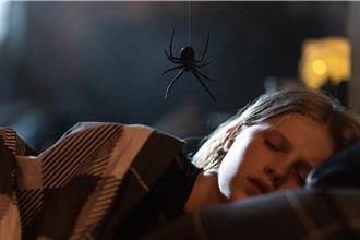 網羅13部影壇奇片 2024金馬奇幻影展推多種口味片單