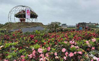 春遊秘境「水水田莊」 賞萬金杜鵑之美