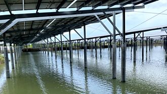 採‧訪‧線‧上－要種電，先學會看風水、養魚蝦