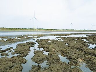 中油举证三接海域未受影响 永安成珊瑚避风港