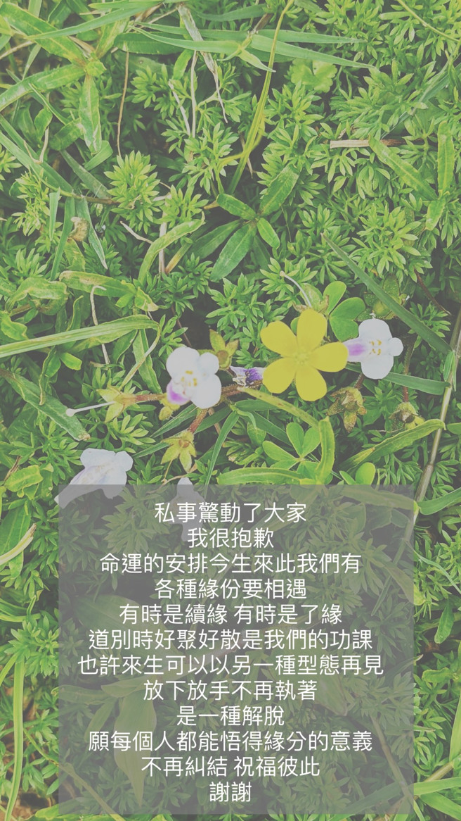网红马克妈妈发出疑似单身宣言的贴文。(图／blackjoyce1029 IG)