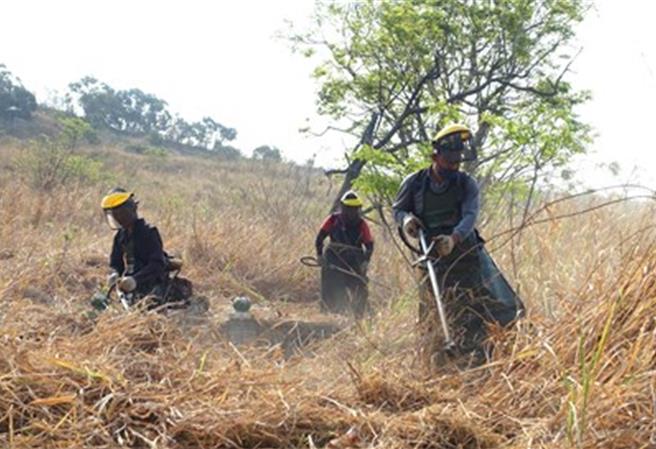 為避免民眾掃墓燃燒雜草引發空汙及火警，台中市民政局派員清除全市152處公墓雜草。(台中市府提供)