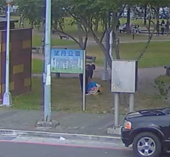 妇人将猫只丢弃在板桥望月公园。（新北市动保处提供）