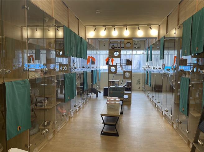 台北市動物保護處自2016年全國首創推動成立動物安養機構，迄今已達29家，其中優等計有「純粹動物醫院」等8家，透過評鑑制度嚴格把關動物安養機構照護品質。（黃敬文翻攝）