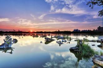 傳承下一個百年！羅東林場3／10盛大舉辨植樹