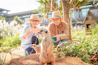 加1元多1件！飯店送房客暢玩樂園、動物互動或多住1人