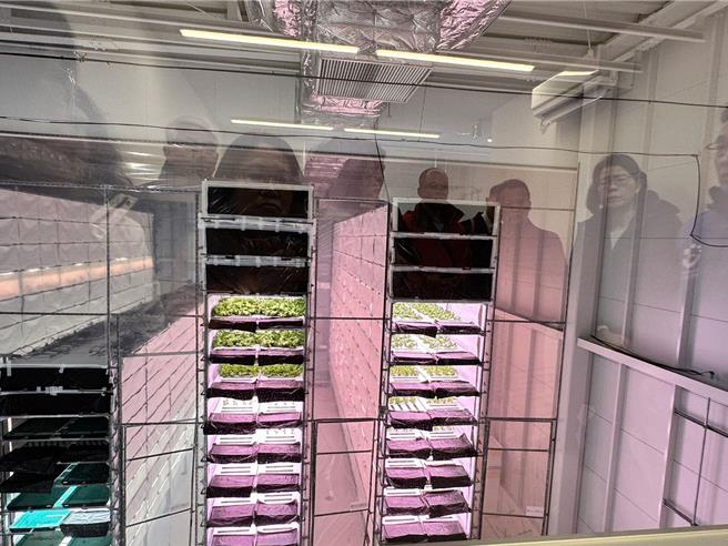 千叶大学室内草莓栽培室。（苗栗县政府提供／李京升苗栗传真）