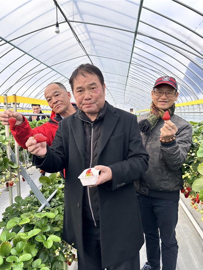 苗栗县长锺东锦7日参访日本农产品直贩所，下午再转往栃木县的日光草莓园。（苗栗县政府提供／李京升苗栗传真）