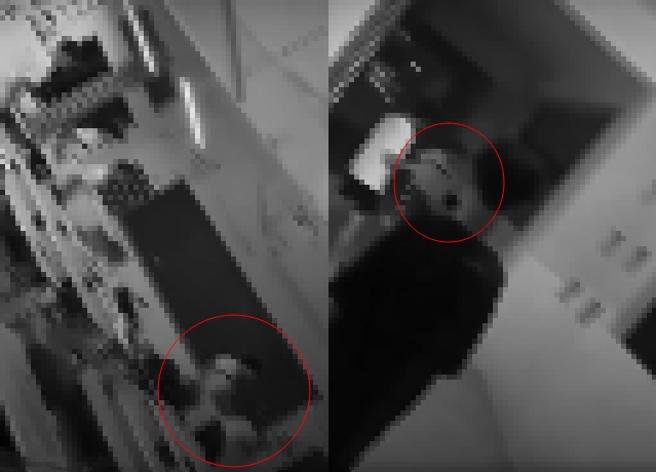 教室內有1名男學生遭到其他3、4位學生包圍，不料這名男學生眼鏡被撥掉後，竟突然暴走，連揮對方30多拳，一路追到教室外，結果，疑似要霸凌的學生被打到哀號直喊「快叫警察」。（圖／翻攝自臉書爆料公社官方粉專專屬）