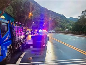 天雨視線差  代課老師自撞臨停併排貨車不治