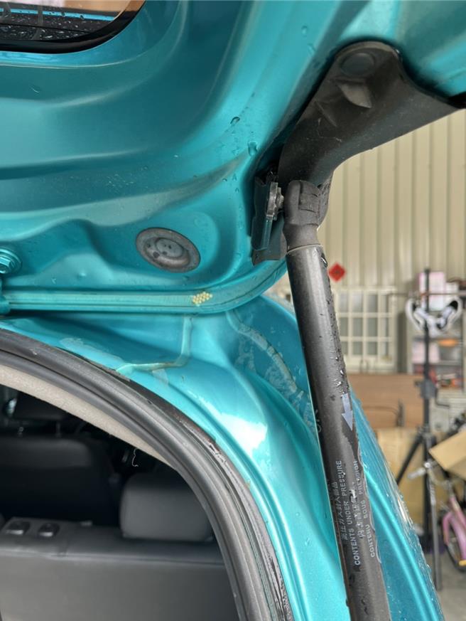 彰化县员林市吴姓民眾日前他打开汽车后车厢，赫然发现荔枝椿象的卵。（吴姓民眾提供／孙英哲彰化传真）