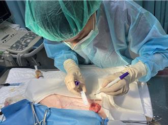 避免愛犬圍肛腺瘤！新北動保處籲絕育 提補助600元起