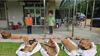 退休警组盗伐集团！珍贵牛樟木乱藏别人家惨被查获、起诉