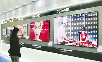 面板雙虎 2月營收兩樣情