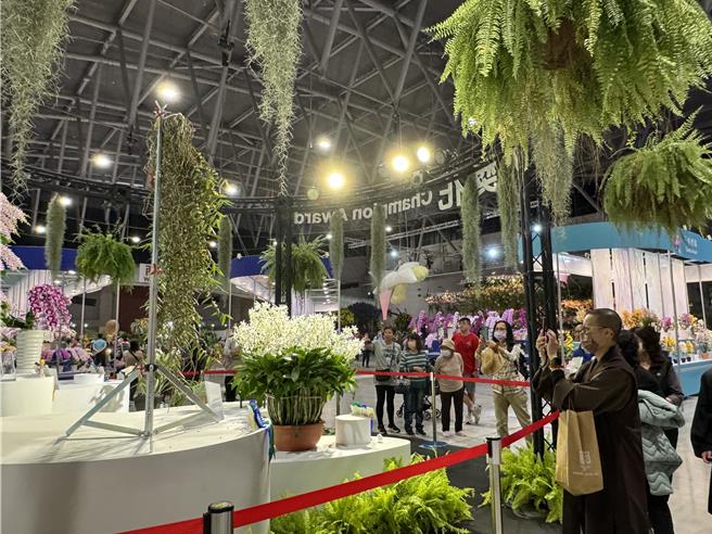 首度來台舉辦的世界蘭展，吸引不少人潮前來賞蘭。(曹婷婷攝)