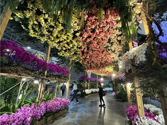 世界蘭展位於大台南會展中心，不少民眾前來看台灣燈會也會就近賞蘭。(曹婷婷攝)