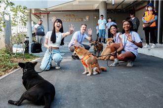 竹縣動保教育園區專人導覽 與貓狗互動學習生命教育