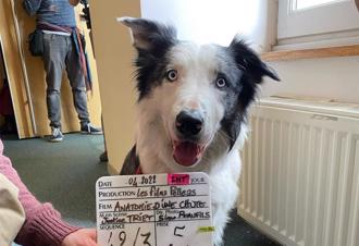 《墜惡真相》梅西太搶鏡 遭控不正當競爭 恐被禁出席奧斯卡