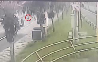 為閃躲爆衝小白狗 花蓮海濱路2機車慘撞摔