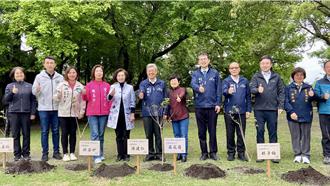 陳建仁羅東林場植風箱樹 「適地適木」傳承下個百年