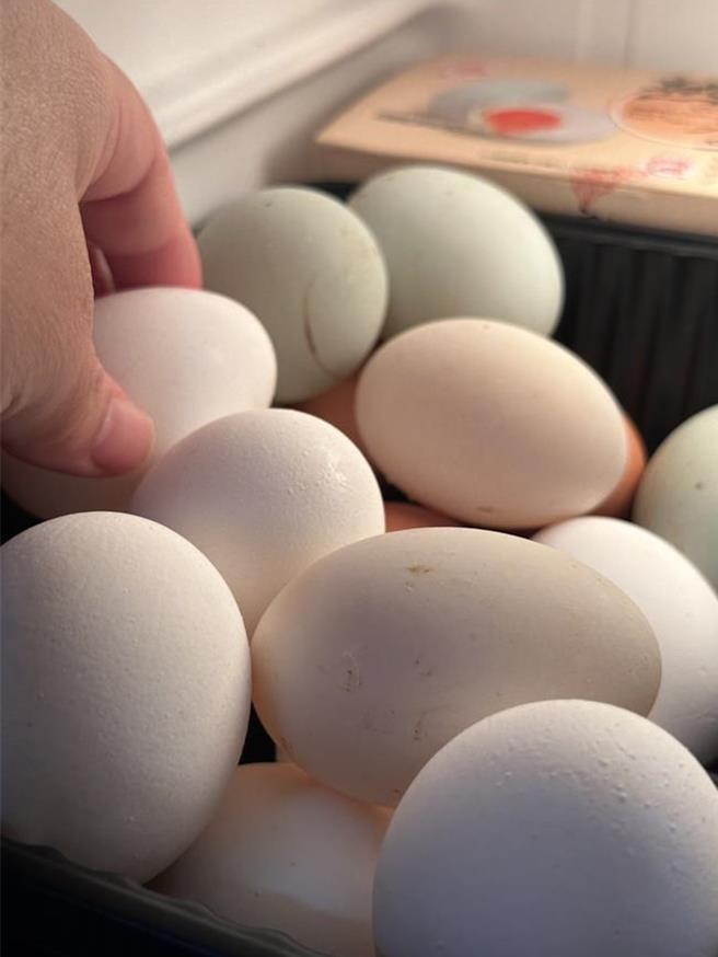 鸡蛋。（李欣恬摄，资料照片）