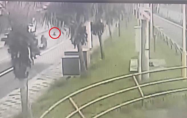花蓮市海濱路日前發生兩部機車追撞車禍，警方發現，當時有隻狗奔跑衝出馬路，機車閃避不及摔車。（民眾提供／王志偉花蓮傳真）