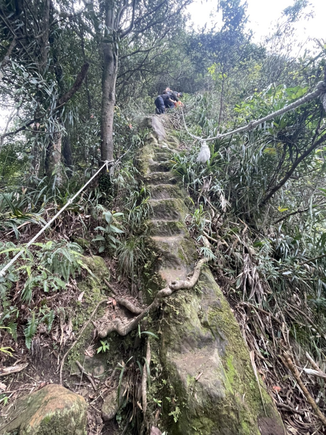 男子與好友相約登山，意外墜落山谷，消防隊人力搬運送醫搶救。（翻攝畫面）