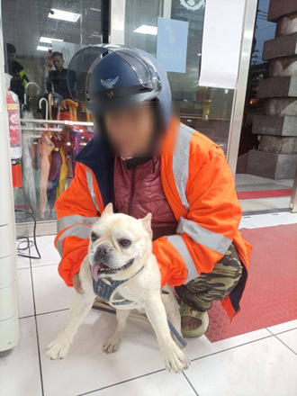法鬥犬一臉萌樣被「抱警」處理 基警臉書協尋助與主人團聚