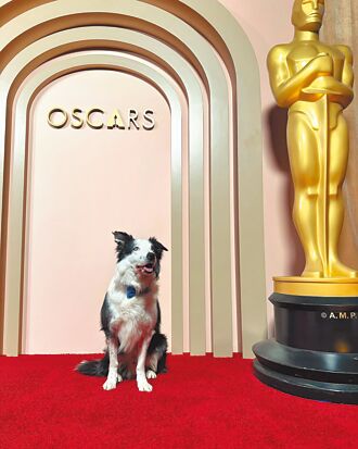 狗演員太紅 傳被拒奧斯卡門外