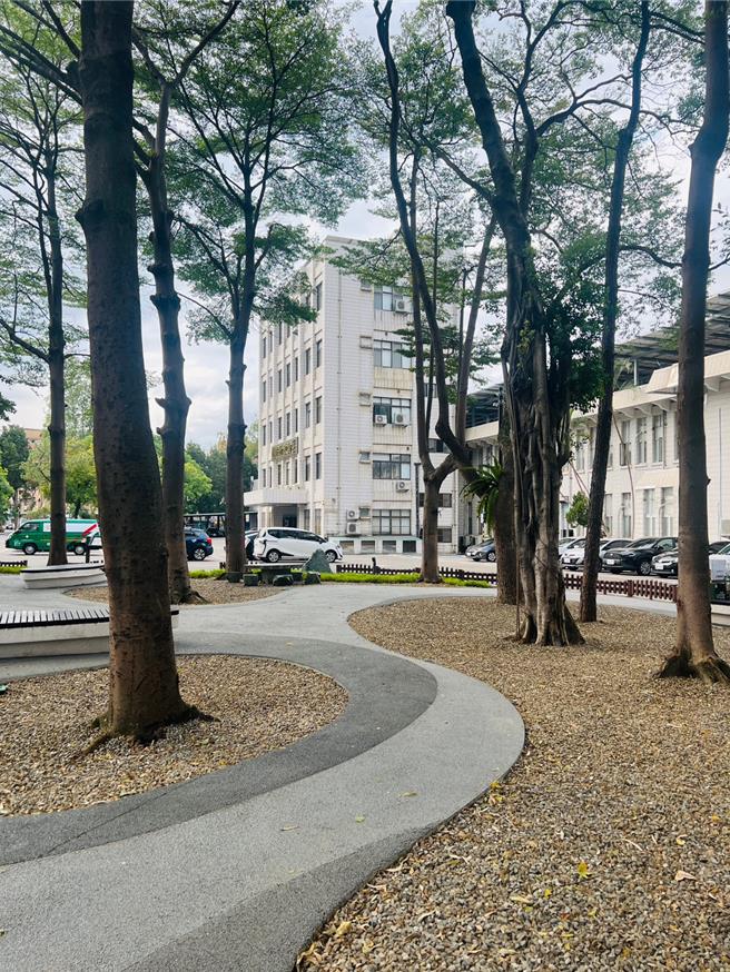 「舊司法公園．綠幕方舟」迴避老樹根系實景照。(工務局提供／蔡依珍桃園傳真)