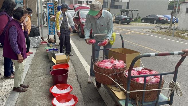 归仁六甲里「担龟」习俗于土地公诞辰日举行。(曹婷婷摄)