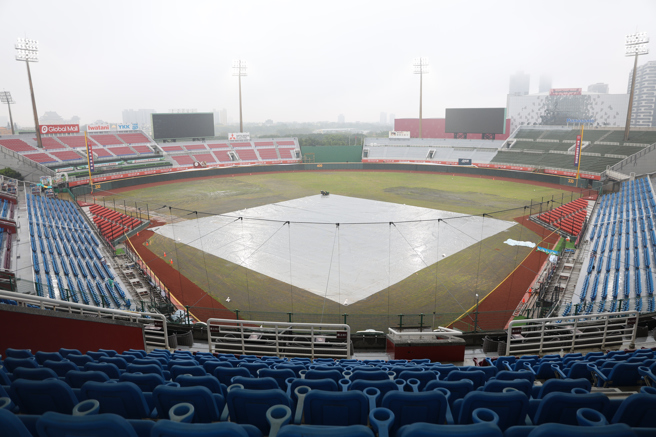 樂天桃猿將在3月31日進行2024年新球季主場開幕戰，但桃園棒球場草皮生長不如預期。（體育署提供）