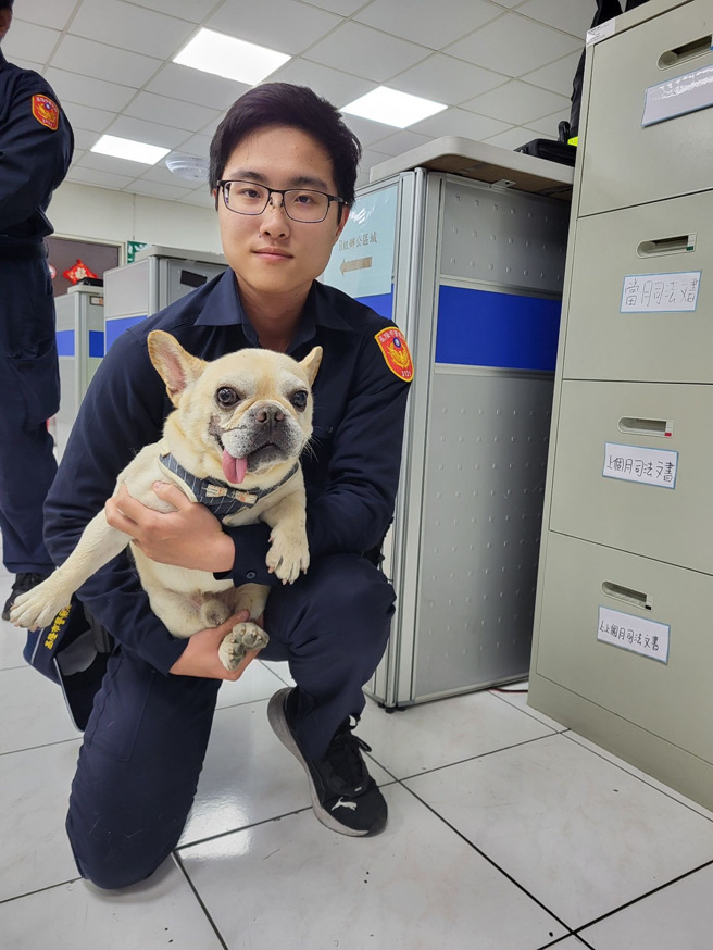 基隆有一民热心民眾带着一只迷途的法斗犬至派出所。（图／警方提供）